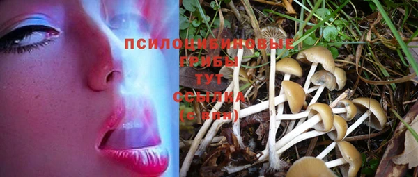 герыч Магадан