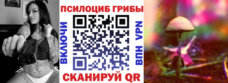 Псилоцибиновые грибы Psilocybine cubensis  Данков 