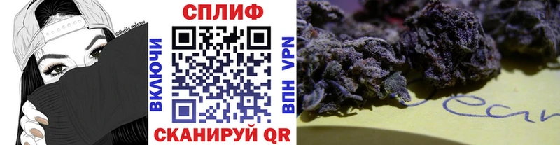 Канабис планчик Данков